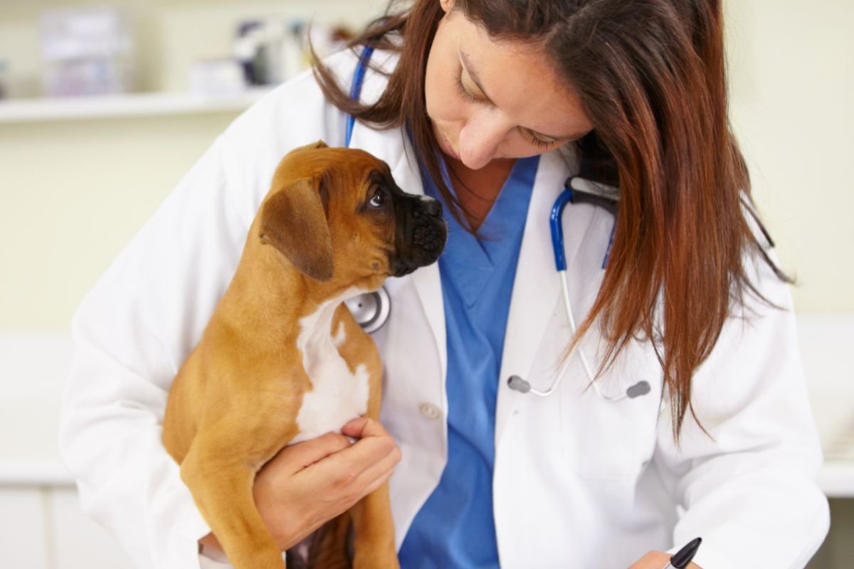 Untitled design (40)